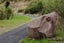 197 Kokako Heights, Matata, Matatā - Carousel 19