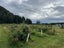 0 State Highway 7, Ikamatua, Blackball - Carousel 12