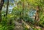 0 Blackwood Bay, Blackwood Bay, Marlborough Sounds - Carousel 16