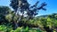 0 Wilson Way, Hihi, Mangonui - Carousel 19