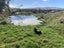 64 Littles Drive, Waikari, Waikari - Carousel 23