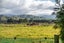76 Jordan Road, Waingawa - Carousel 22