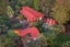 73 Coulter Road, Henderson Valley, Auckland - Carousel 1
