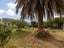 27 Quinn Road, Levin, Levin - Carousel 19