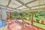 41 Maitland Street, East Gore, Gore - Carousel 21