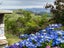 200 Corbett Road, Waihi, Waihi - Carousel 32