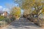 263 Lincoln Rolleston Road, Rolleston, Rolleston - Carousel 22