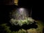 161A Talbot Street, Geraldine, Geraldine - Carousel 30