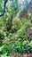 1695 Wyuna Bay Road, Wyuna Bay, Coromandel - Carousel 38