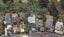20 Rewa Street, Musselburgh, Dunedin - Carousel 29