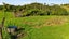 529 Frankley Road, Hurworth, New Plymouth - Carousel 38