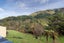 1721B Akatarawa Road, Akatarawa Valley, Upper Hutt - Carousel 14