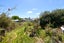 145A Ruahine Street, Roslyn, Palmerston North - Carousel 23