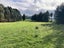 616B Reaby Road, Gore, Gore, Southland - Carousel 1
