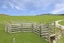 220 Taieri Peak Road, Meadowbank, Palmerston - Carousel 27