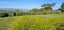 461G Minden Road, Minden, Tauranga - Carousel 25