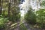 13 Okuti Valley Road, LITTLE RIVER, Little River - Carousel 31