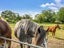 12 Swamp Road, Cust, Cust - Carousel 29