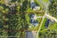 74E Solway Road, Whitford, Whitford - Carousel 39