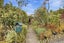 37 Derwent Street, Helensburgh, Dunedin - Carousel 1
