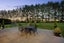 295 Postman Road, Albany - Carousel 39
