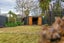 161 Bordesley Street, Phillipstown, Christchurch - Carousel 14