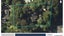 181 Laingholm Drive, Laingholm, Auckland - Carousel 1