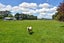 3394 State Highway 2, Clareville, Carterton - Carousel 16