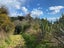 36 Pohara Valley Road, Pohara - Carousel 8