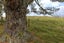 14A Sampson Road, Waerenga, Te Kauwhata - Carousel 22
