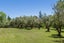 77 Black Barn Road, Havelock North, Havelock North - Carousel 26