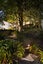 13 Sadgrove Terrace, Mount Albert, Auckland City, Auckland - Carousel 40