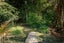 236 Alma Road, Westport - Carousel 23