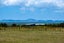 6 Bobs Way, Kaingaroa, Kaitaia - Carousel 3