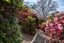252 Masterton Stronvar Road, Te Ore Ore, Masterton - Carousel 39