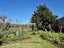 4 Courthouse Lane, Coromandel, Coromandel - Carousel 8
