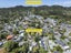 24 Sunray Avenue, Titirangi, Auckland - Carousel 32