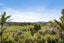 1683 Tomarata Road, MANGAWHAI, WELLSFORD - Carousel 28