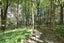 13 Okuti Valley Road, LITTLE RIVER, Little River - Carousel 19