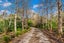 364 Oneriri Road, Kaiwaka, Kaiwaka - Carousel 25