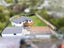 16 Andelko Place, Henderson, Auckland - Carousel 31