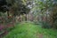 10 Robertson Road, Whatawhata, Hamilton - Carousel 5