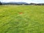 0 State Highway 6, Barrytown, Greymouth - Carousel 14