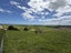 0 Greenhill Road, RUAWAI, RUAWAI - Carousel 5
