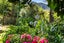 59 York Street, Picton - Carousel 32