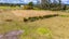 57C Pairatahi Road, Kaingaroa, Kaitaia - Carousel 22