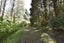 13 Okuti Valley Road, LITTLE RIVER, Little River - Carousel 32