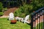 29 Wade Street, Wadestown, Wellington - Carousel 19