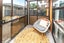5C Urquhart Street, Whanganui, Whanganui - Carousel 25