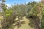 1556 South Head Road, Helensville - Carousel 19